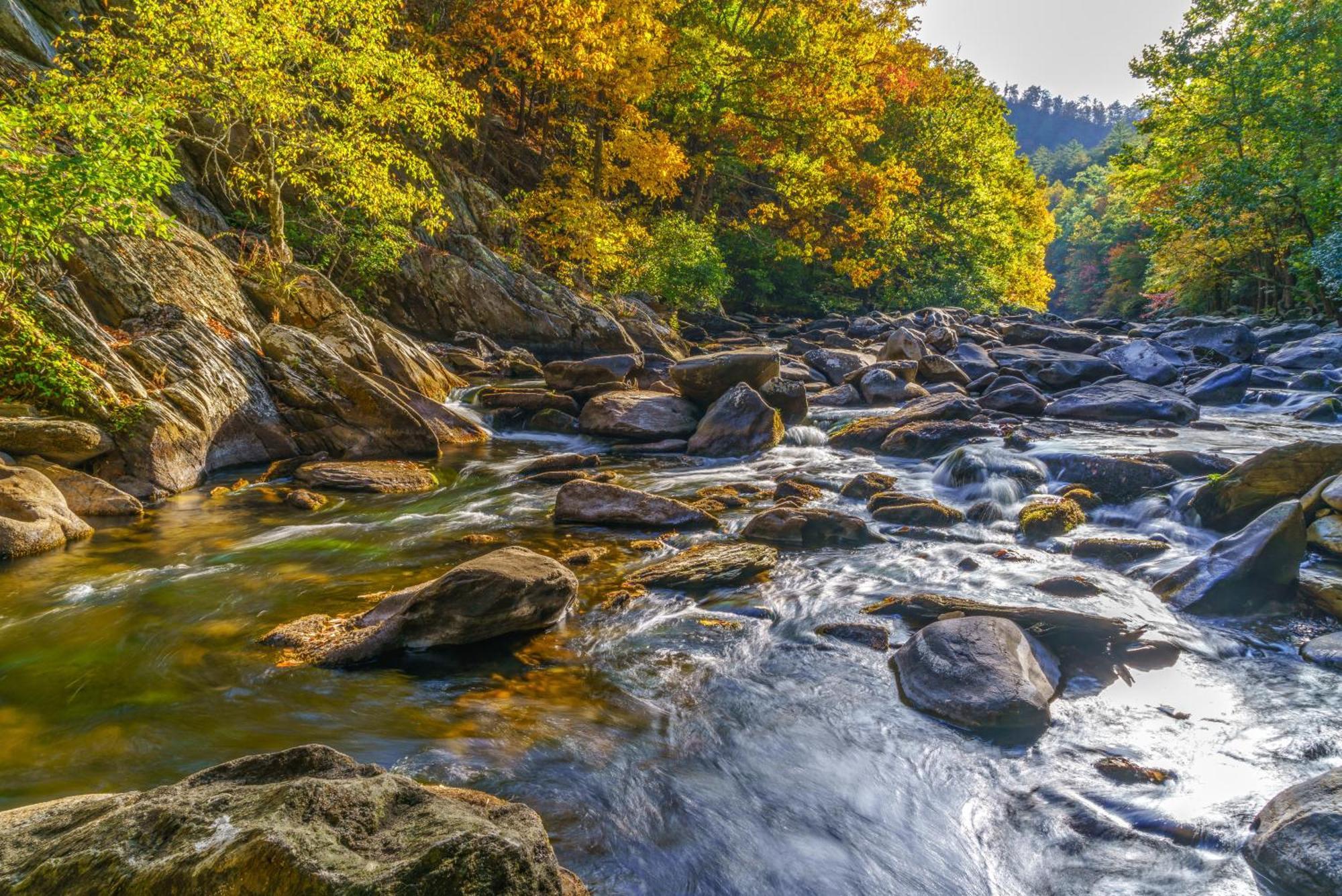 Komfy Kozy Gatlinburg Dış mekan fotoğraf